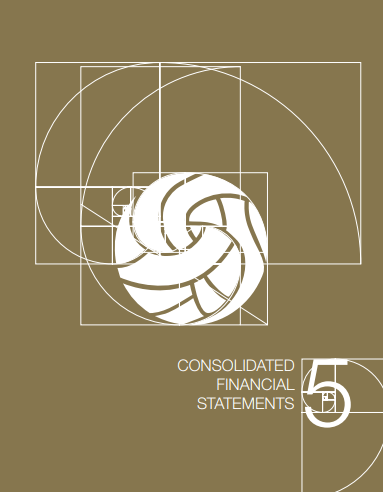 Consolidated financial statements